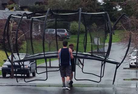 best-way-to-move-a-trampoline