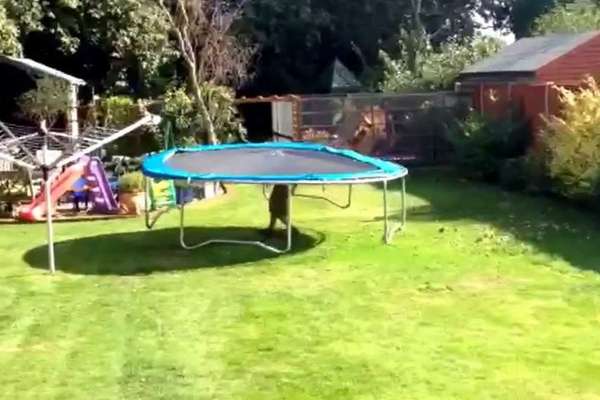 How to Move a Trampoline to Mow 
