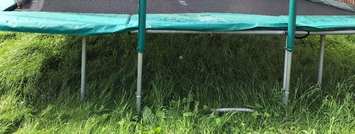 How-to-Prepare-Grass-for-Trampoline