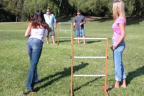Ladder Ball Rules