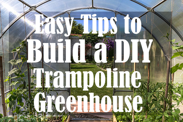 Easy Tips to Build a DIY Trampoline Greenhouse