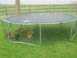 The chicken coop trampoline project