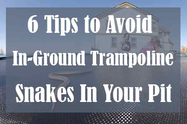 6 Tips to Avoid In-Ground Trampoline Snakes In Your Pit