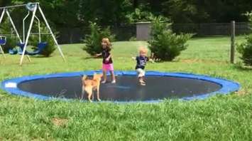 Are-In-Ground-Trampolines-Safer-Than-Above-Ground