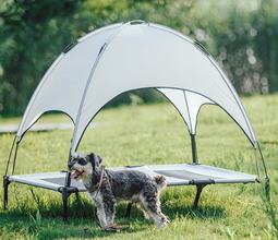 What-is-a-Trampoline-Bed-For-a-Dog